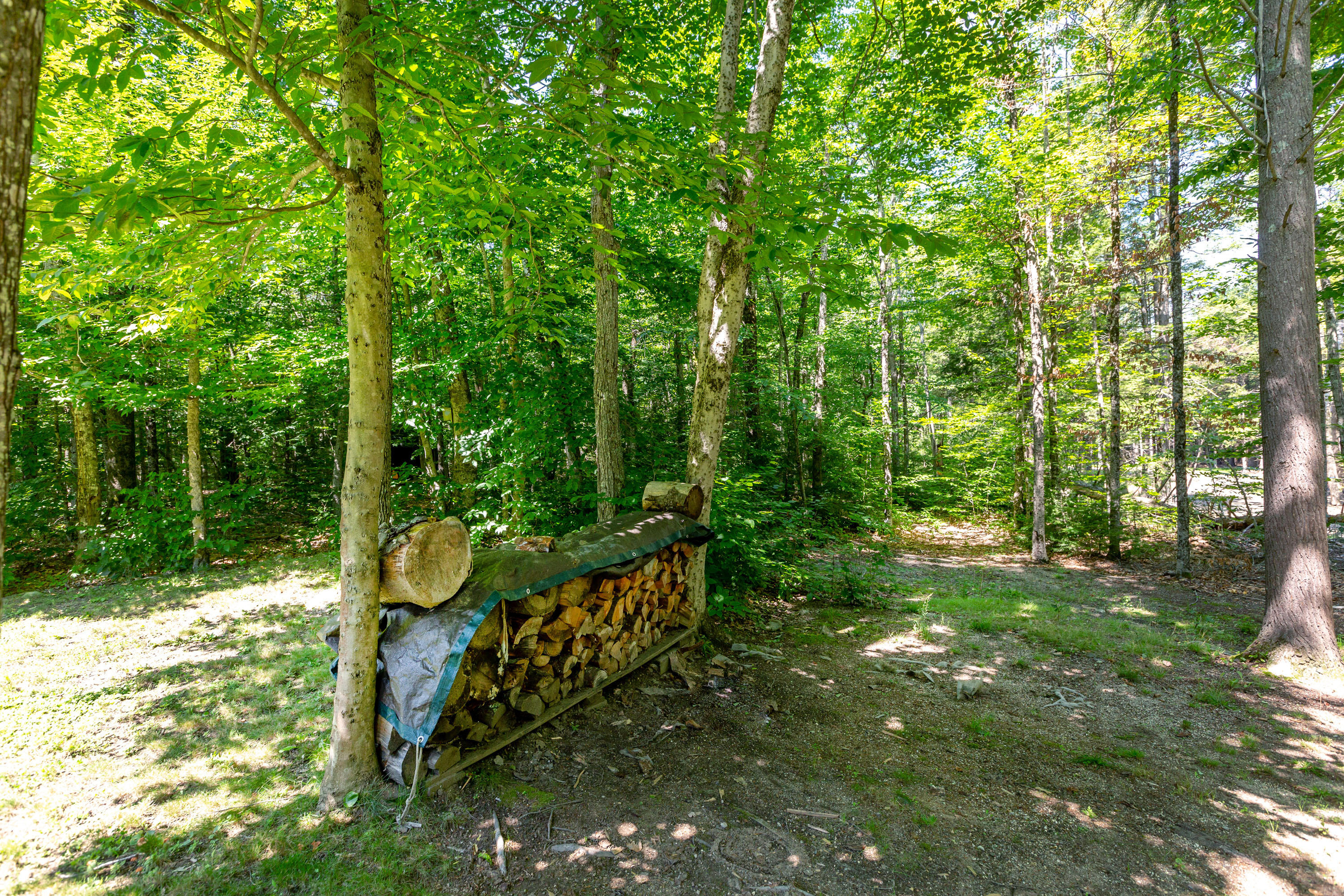 1166 Ridge Road Bowdoinham, ME 04008 - Photo 43 of 66 Ridge_Dunham_47