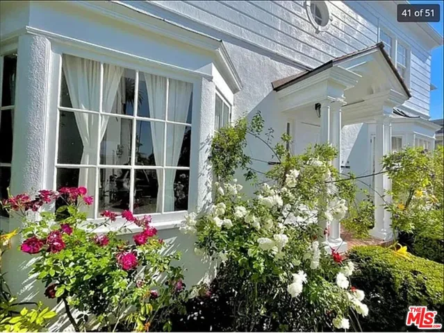 a view of a garden with a flower plants