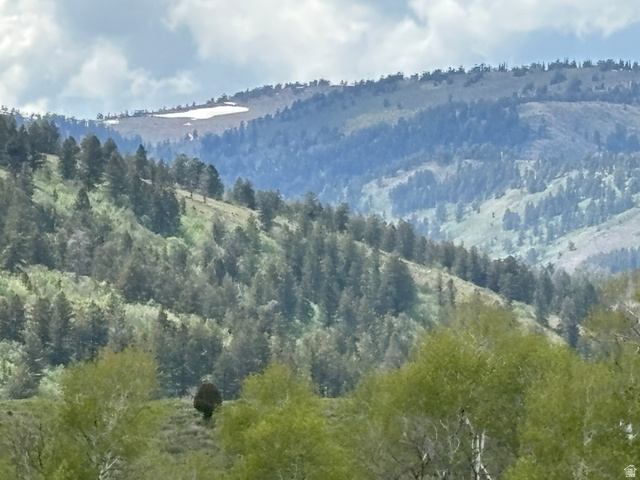 6476 Stauffer Road, Unit 4 Montpelier, ID 83254 - Photo 5 of 17 Mountain landscape featuring expansive forested slopes, distant peaks, and scattered snow patches