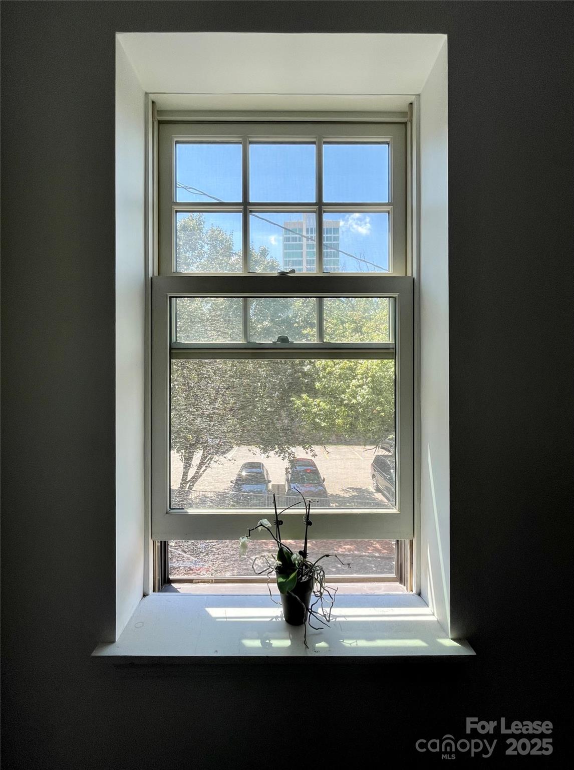 5 West Walnut Street, Unit 202 Asheville, NC 28801 - Photo 14 of 14 Gallery Image 14