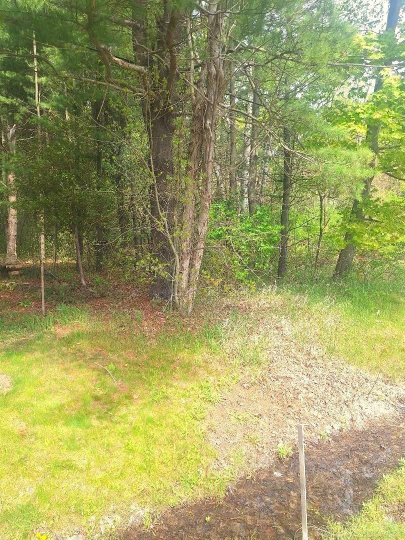 2 Lakeshore Road Port Sanilac, MI 48469 - Photo 14 of 26
