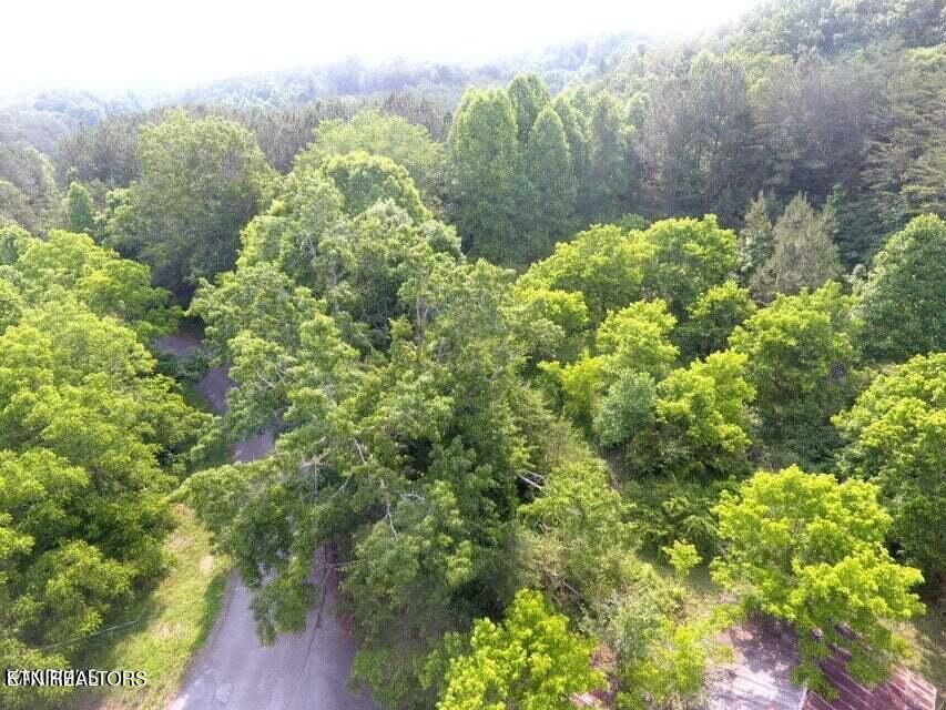 1503 Reliance Road Tellico Plains, TN 37385 - Photo 14 of 54 15