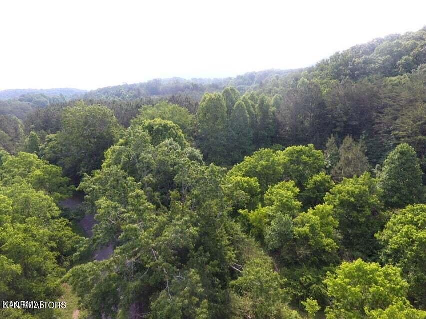 1503 Reliance Road Tellico Plains, TN 37385 - Photo 15 of 54 16