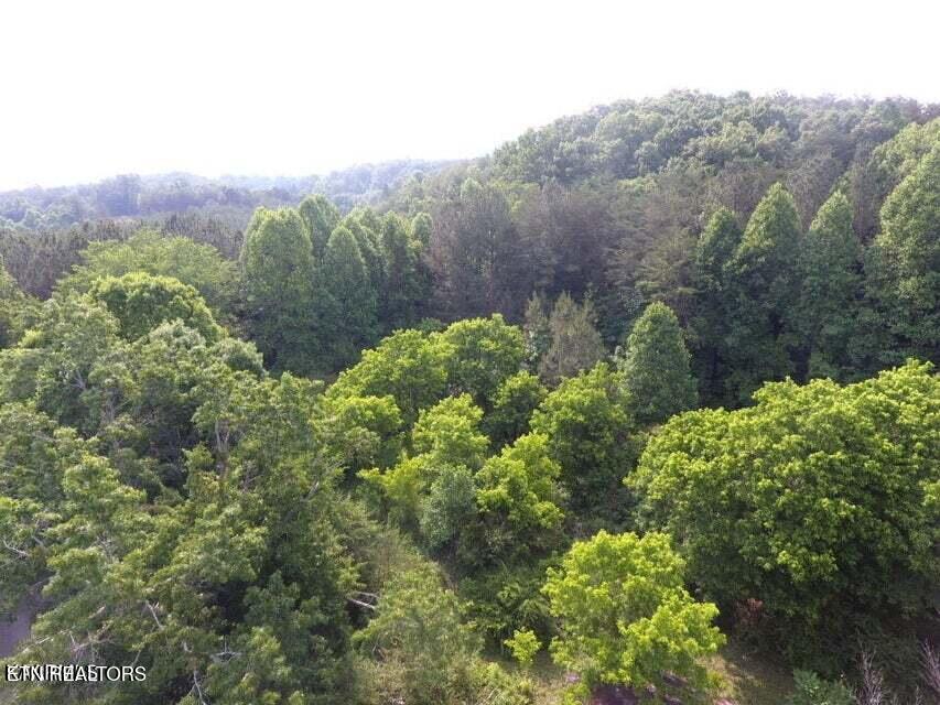 1503 Reliance Road Tellico Plains, TN 37385 - Photo 18 of 54 21