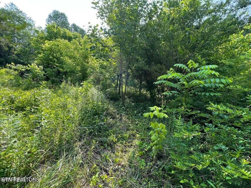 1503 Reliance Road Tellico Plains, TN 37385 - Photo 19 of 54 22