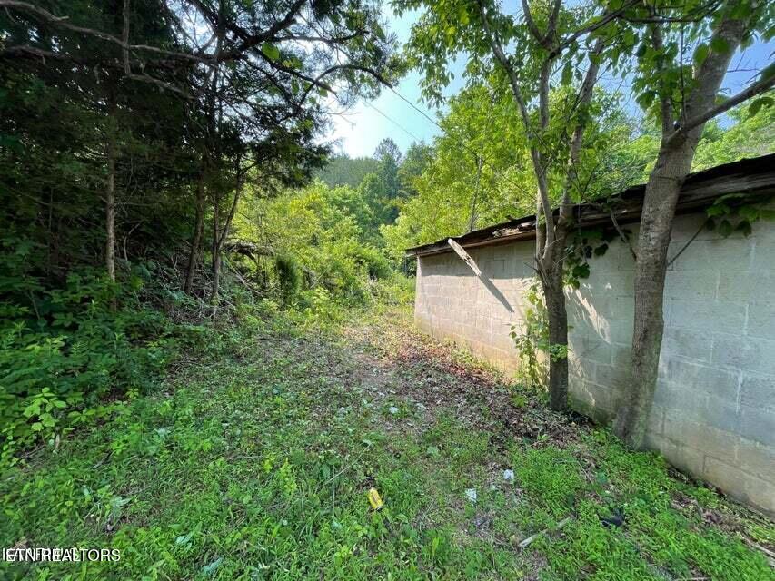 1503 Reliance Road Tellico Plains, TN 37385 - Photo 26 of 54 31