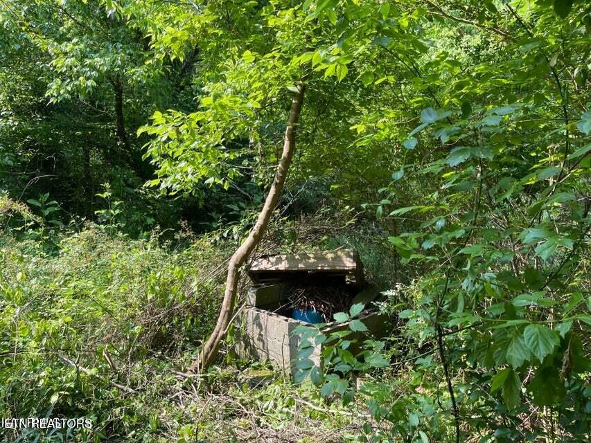 1503 Reliance Road Tellico Plains, TN 37385 - Photo 29 of 54 34