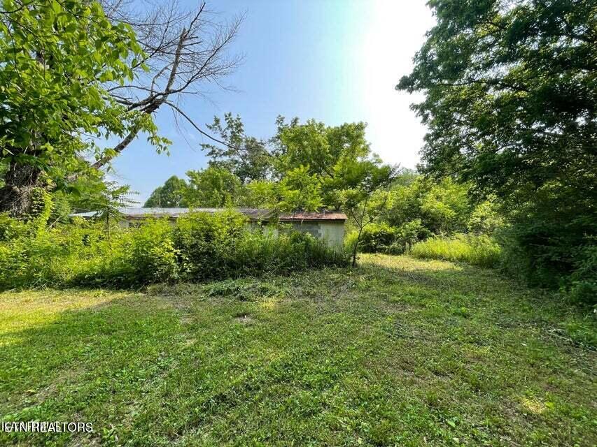1503 Reliance Road Tellico Plains, TN 37385 - Photo 30 of 54 36