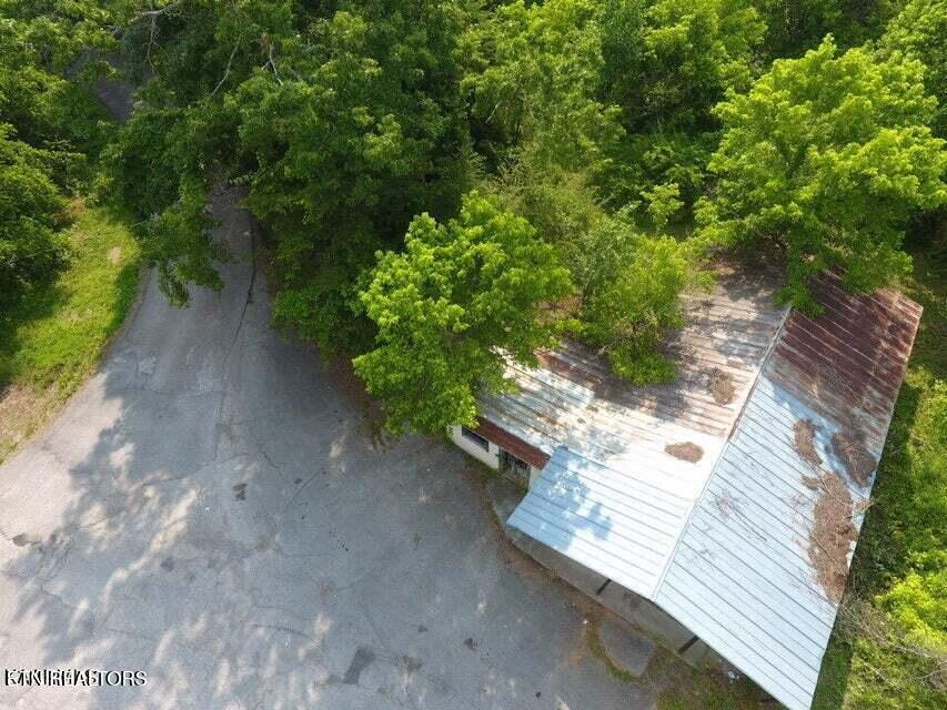 1503 Reliance Road Tellico Plains, TN 37385 - Photo 4 of 54 3