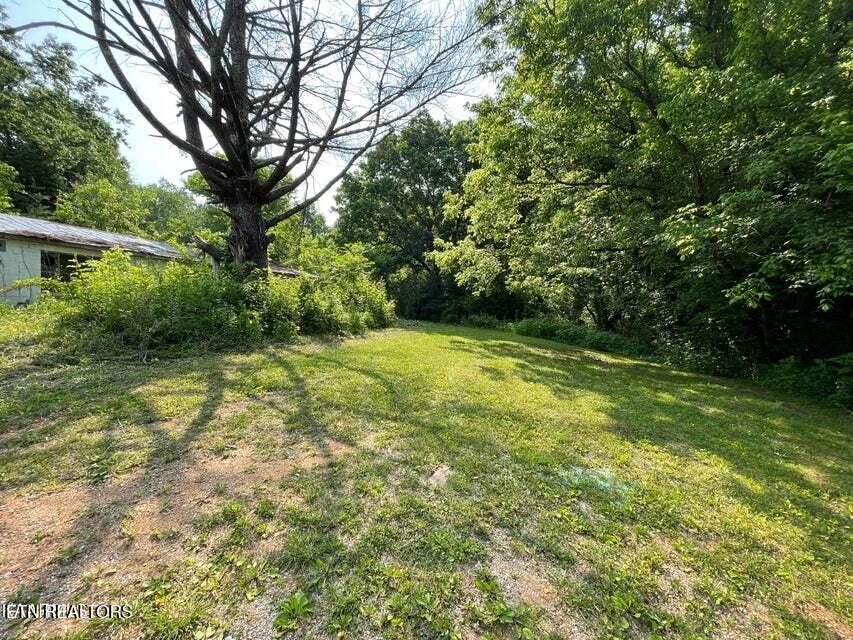 1503 Reliance Road Tellico Plains, TN 37385 - Photo 6 of 54 6