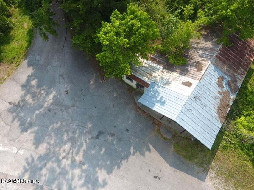 1503 Reliance Road Tellico Plains, TN 37385 - Photo 7 of 54 7
