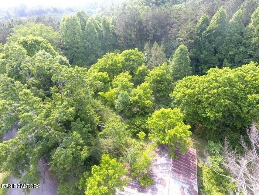 1503 Reliance Road Tellico Plains, TN 37385 - Photo 8 of 54 8