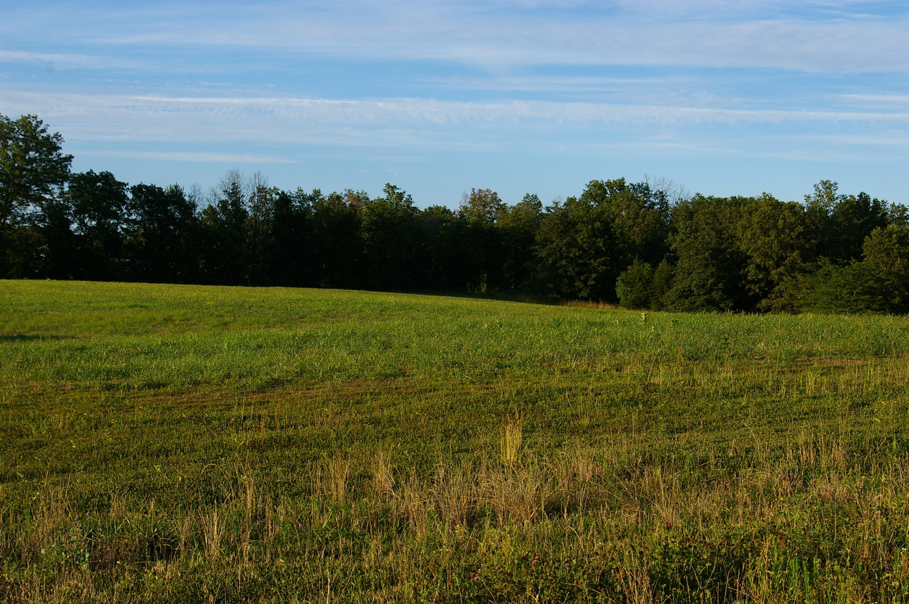 Lot #7 North Locust Grove Church Road Fulton, MO 65251 - Photo 1 of 1