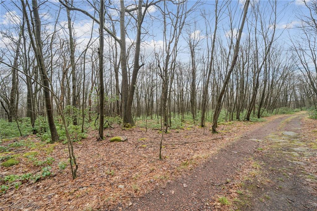 Lot 586 Zermatt Road Jenners, PA 15546 - Photo 5 of 10 a view of a park with a tree