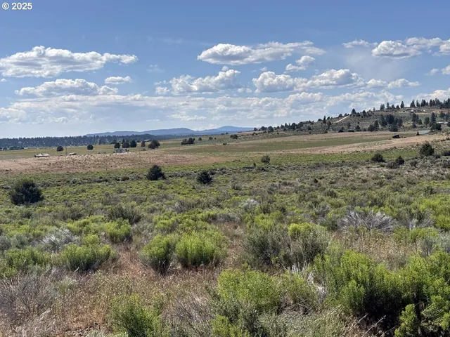 a view of a lake with a city
