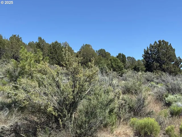 a view of a field of grass and trees