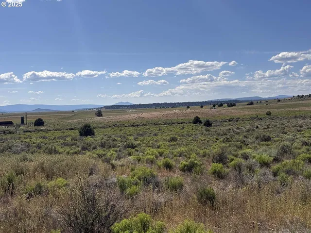 a view of a green field with lots of bushes
