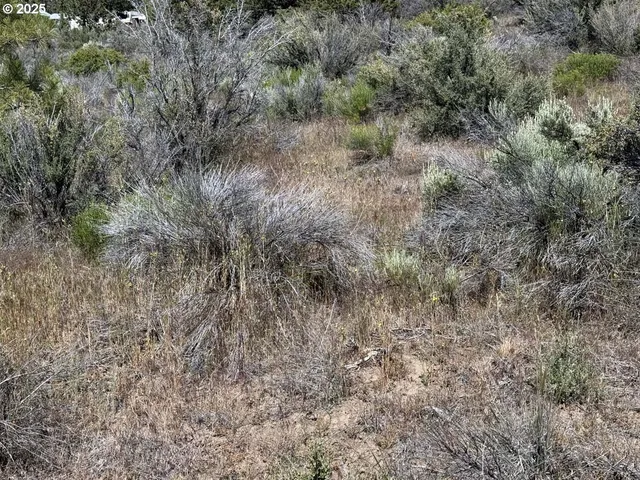 a view of a dry field