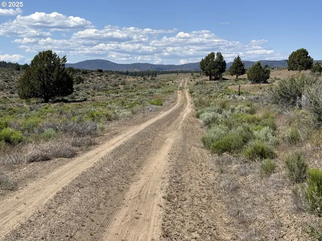 a view of a yard with wooden fence