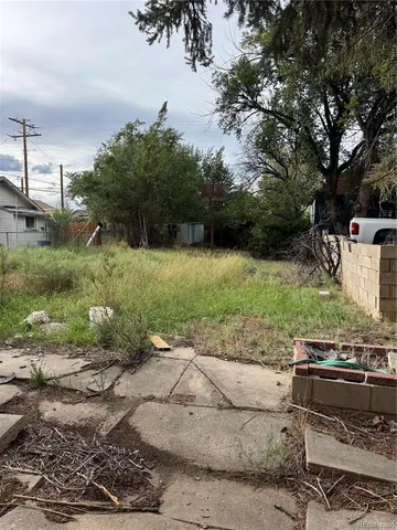 a view of a backyard with lawn chairs plants and large tree