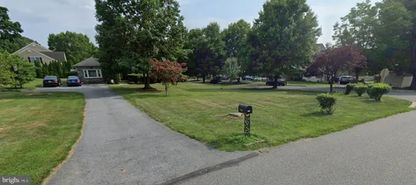 a view of a park with large trees
