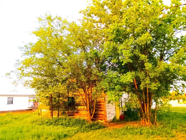 a view of yard with trees