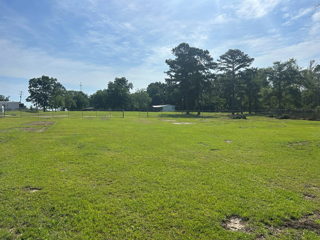 7697 Eddins Road Dothan, AL 36301 - Photo 14 of 65