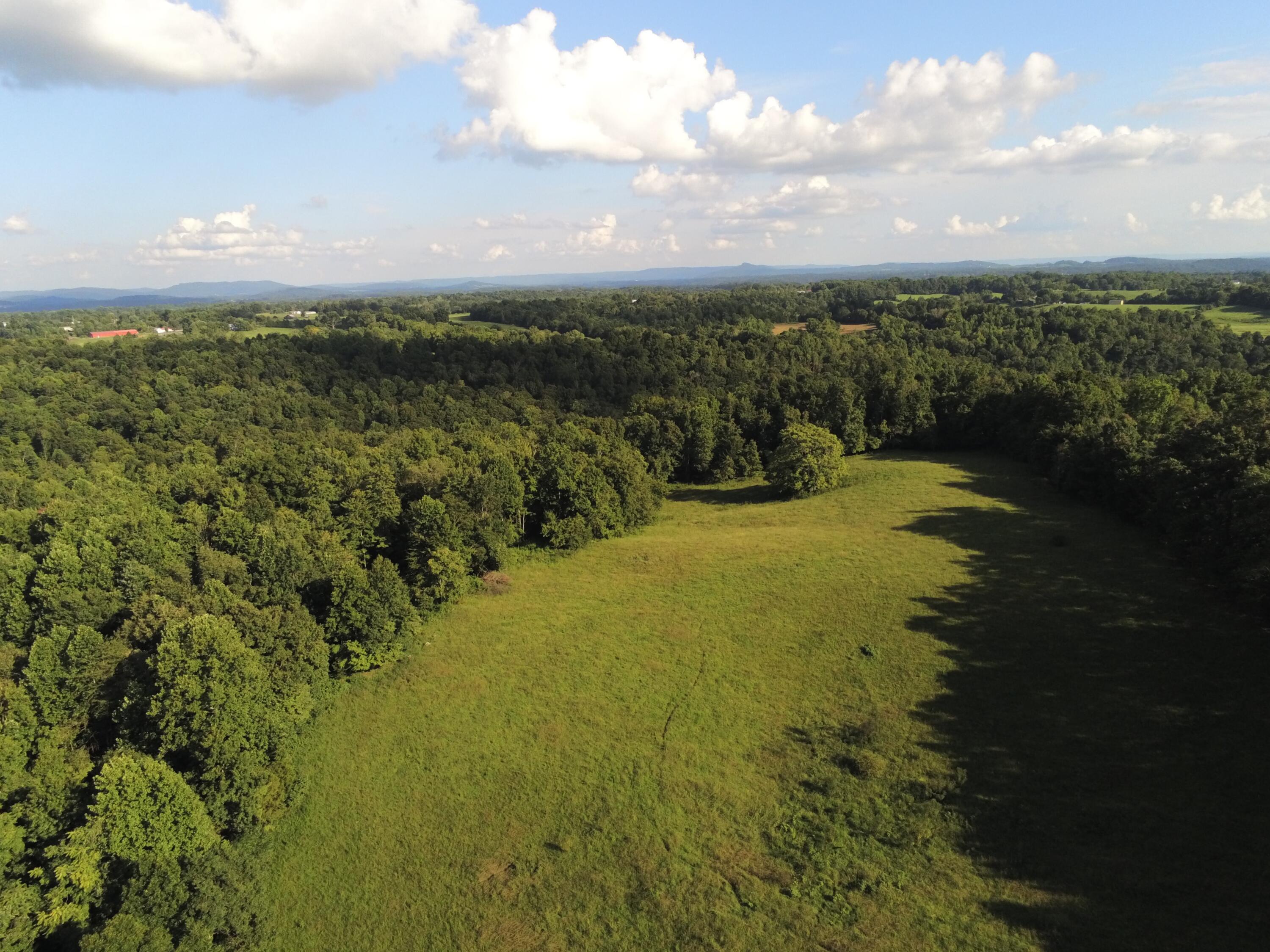 629 Tobin Ridge Road Albany, KY 42602 - Photo 6 of 12 P2220237