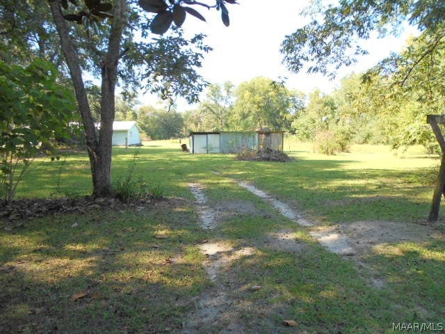 2103 Coffee Springs Road Samson, AL 36477 - Photo 9 of 16 Gallery Image 9