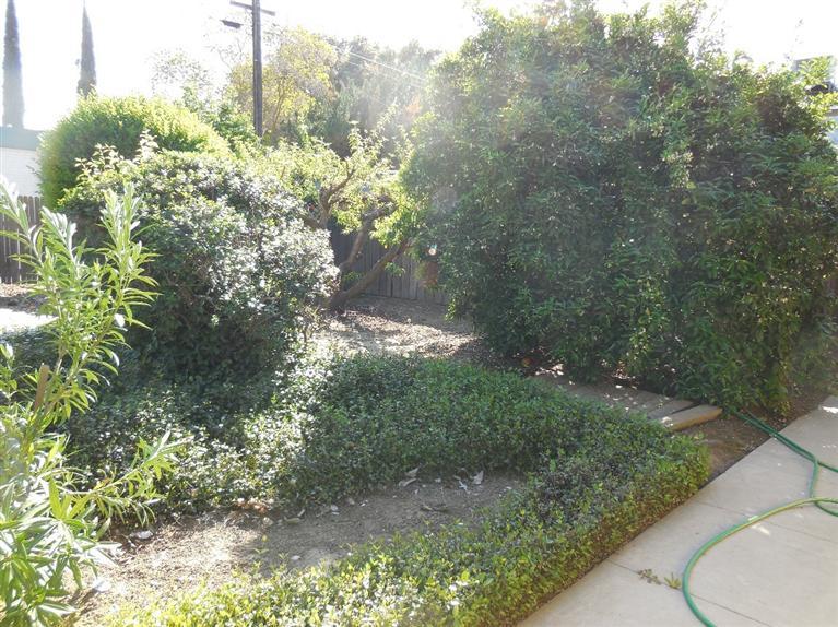 155 East Elm Avenue Reedley, CA 93654 - Photo 39 of 44 Gallery Image 39