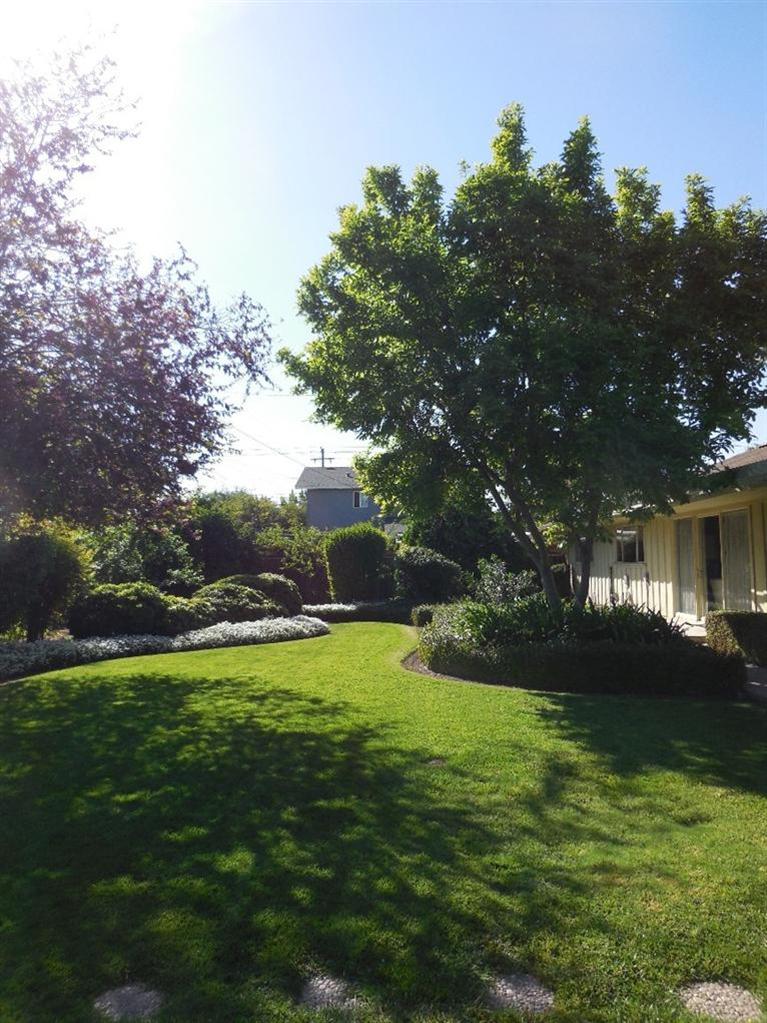 155 East Elm Avenue Reedley, CA 93654 - Photo 42 of 44 Gallery Image 42