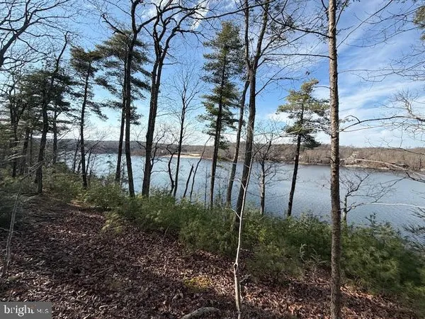 a view of a backyard of the house