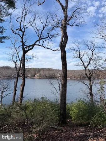 a view of a yard in a yard