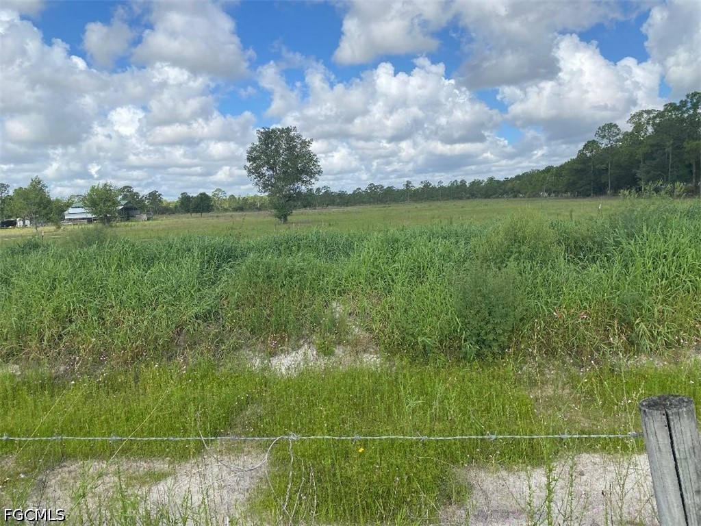 577 Kirby Thompson Road Fort Denaud, FL 33935 - Photo 2 of 5