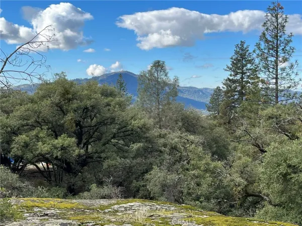 a view of a lake