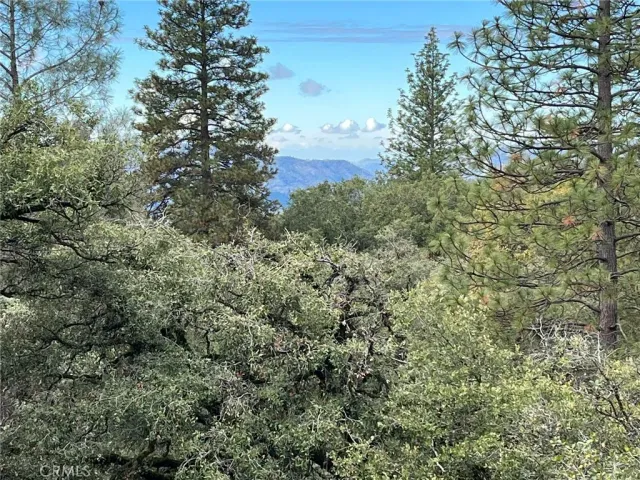 a view of a house with a tree