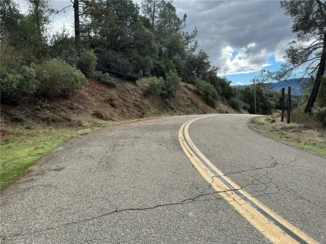 a view of a dry yard with trees
