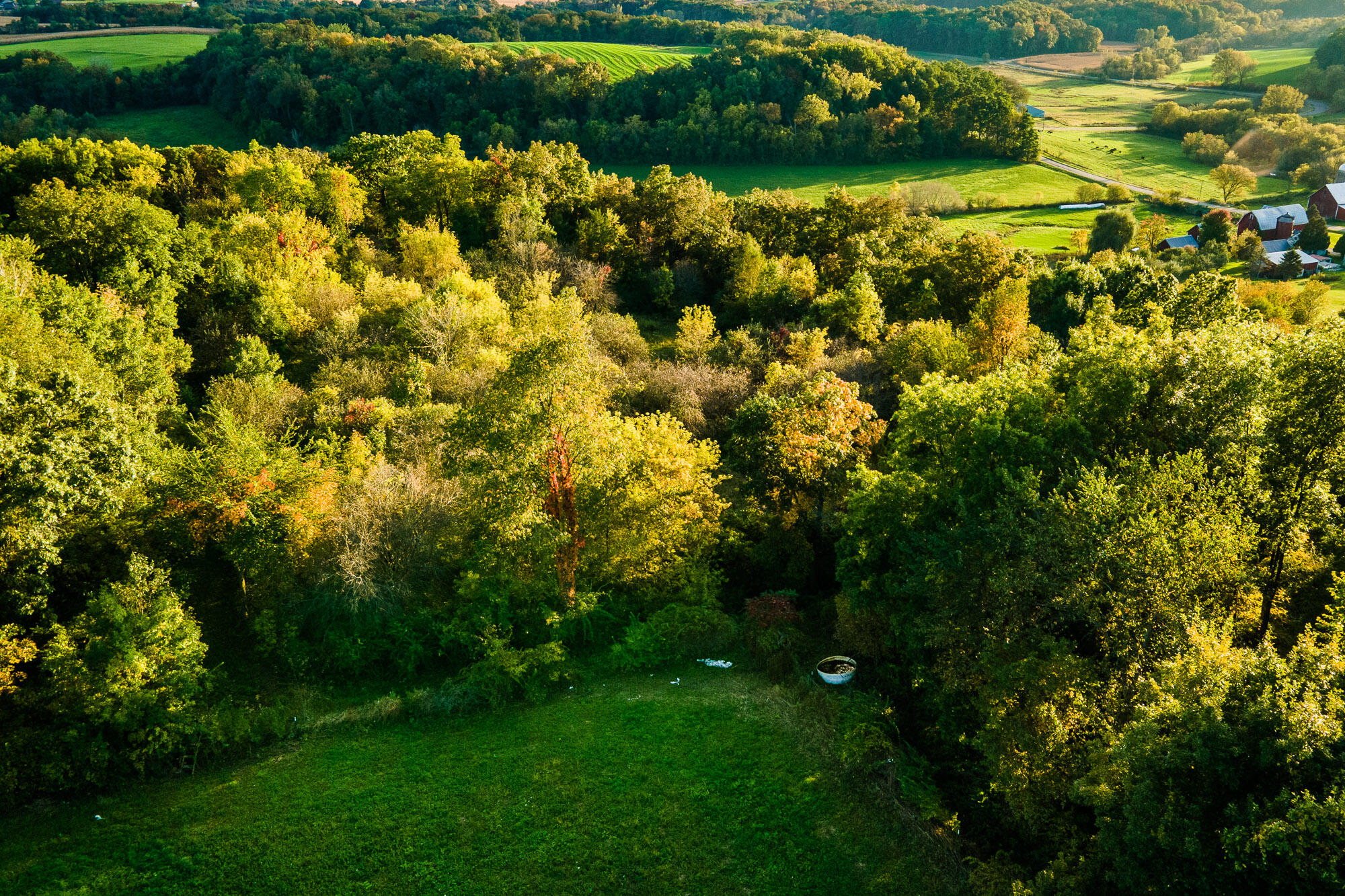 Lt1 Eli Valley Road Loganville, WI 53943 - Photo 13 of 49 Sauk-County-WI-68-Acres-Land-For-Sale-Fa