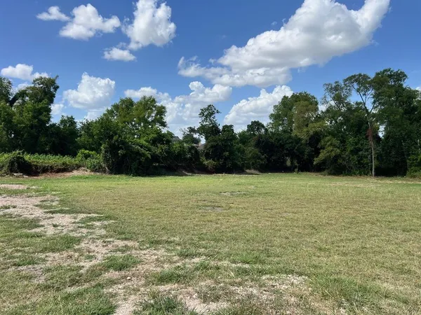 a view of a field with an trees
