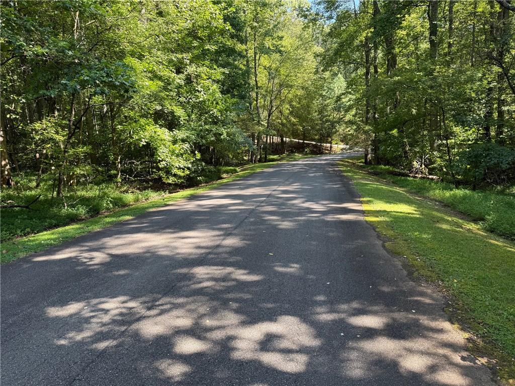 0 Talley Cove Road Jasper, GA 30143 - Photo 6 of 14 a view of a street with a yard