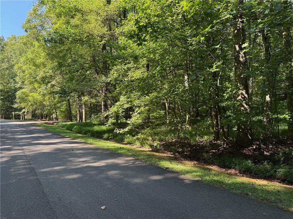 0 Talley Cove Road Jasper, GA 30143 - Photo 7 of 14 a view of a yard with a tree