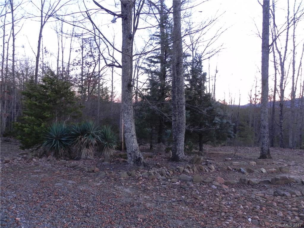 300 Whispering Ridge Farm Lane Mill Spring, NC 28756 - Photo 18 of 19