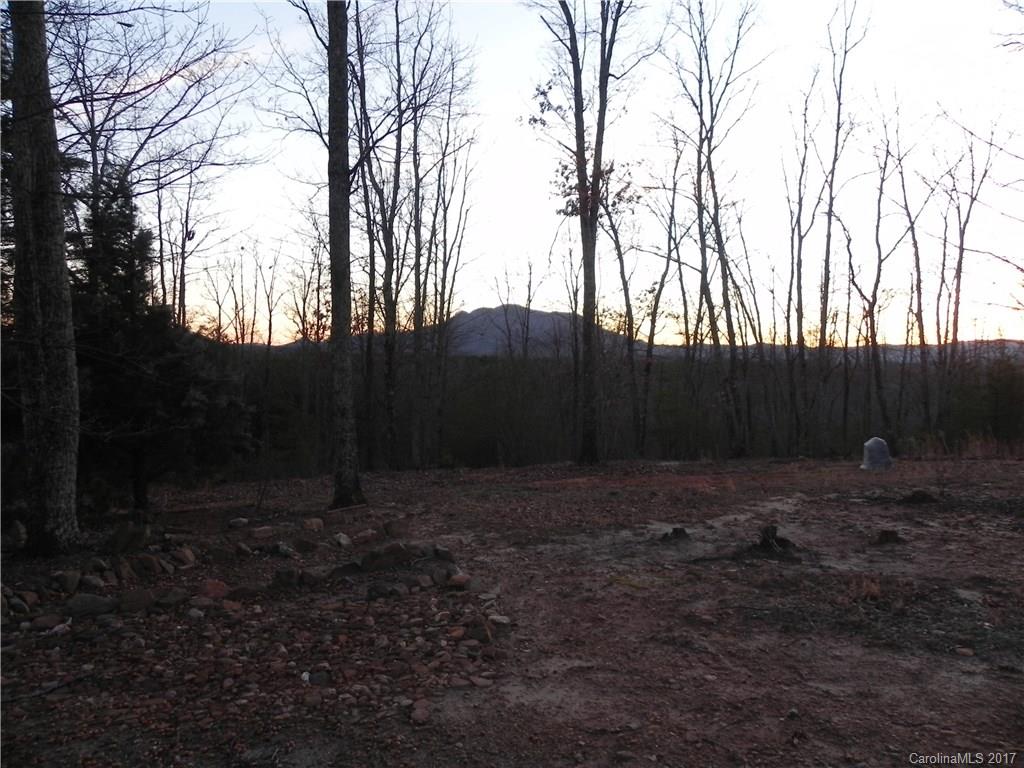 300 Whispering Ridge Farm Lane Mill Spring, NC 28756 - Photo 19 of 19