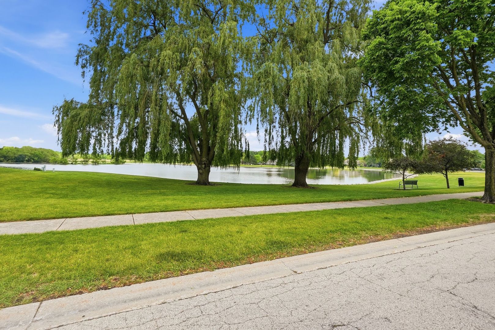 930 Ripple Brook Lane Elgin, IL 60120 - Photo 43 of 43