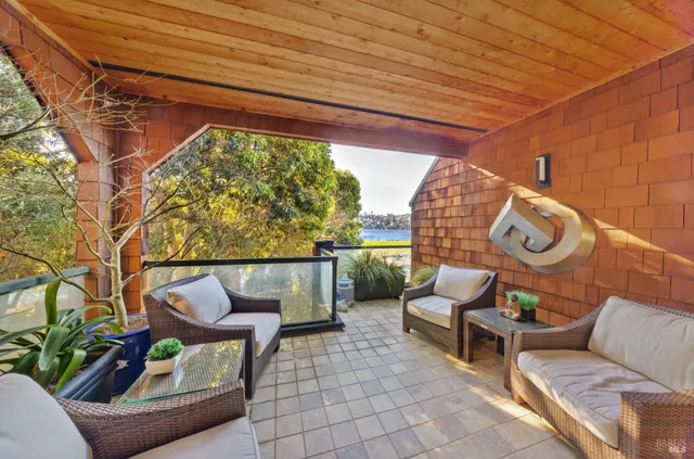 a view of a couches in the patio with potted plants