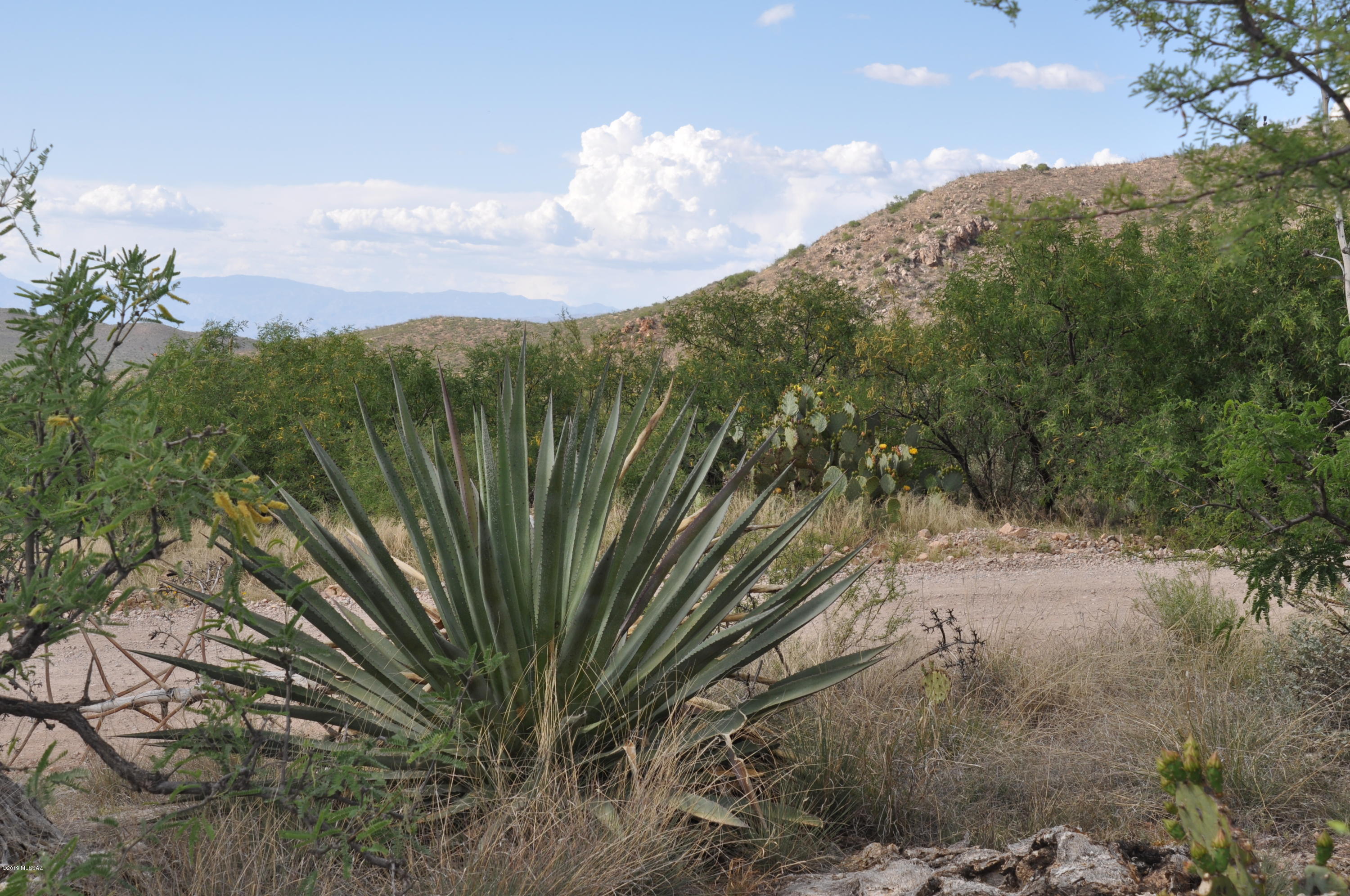 15900 East Hillton Ranch Road Vail, AZ 85641 - Photo 1 of 15
