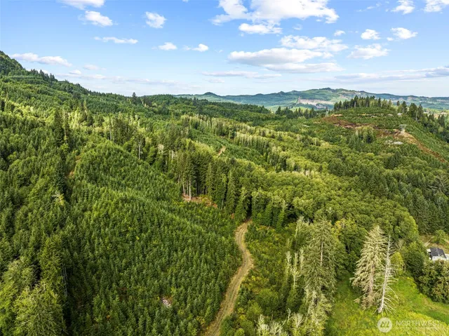 a view of a city with lush green forest