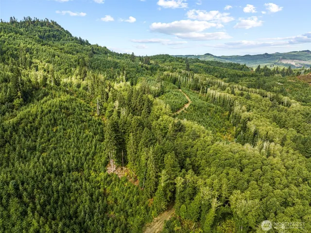 a view of a green yard