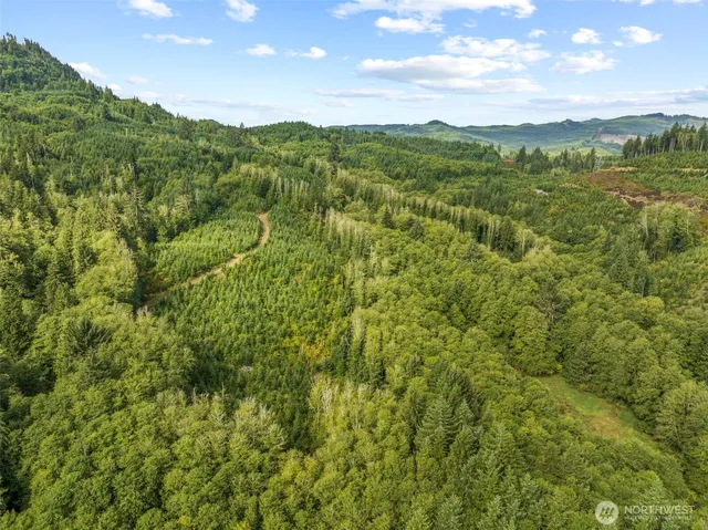 a view of a lush green field