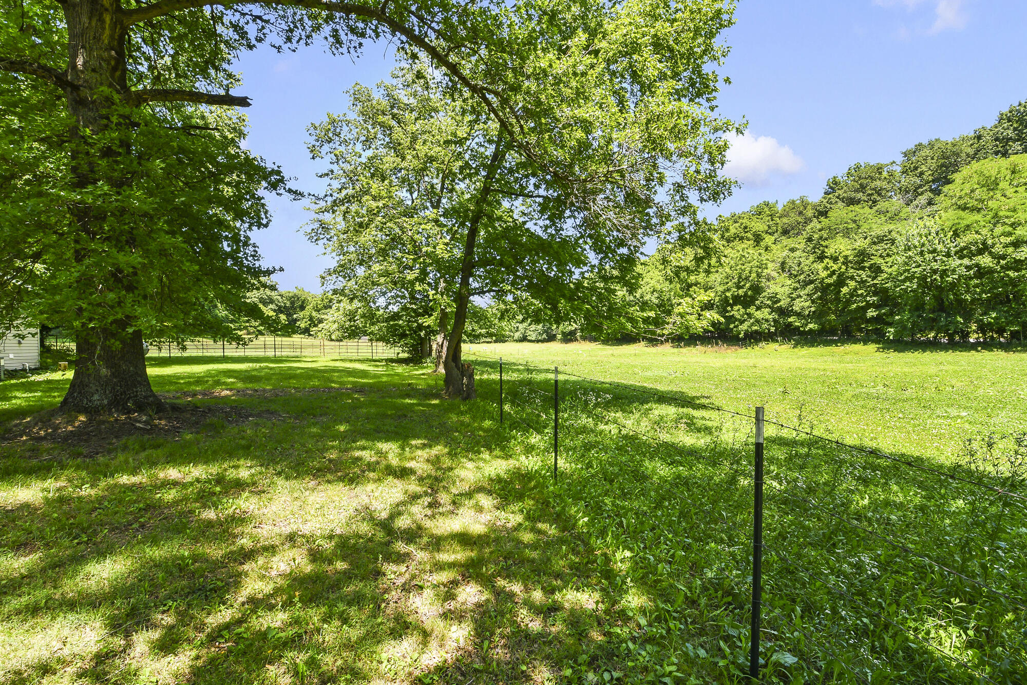 533 Ghan Road Clever, MO 65631 - Photo 54 of 57 533 Ghan Rd